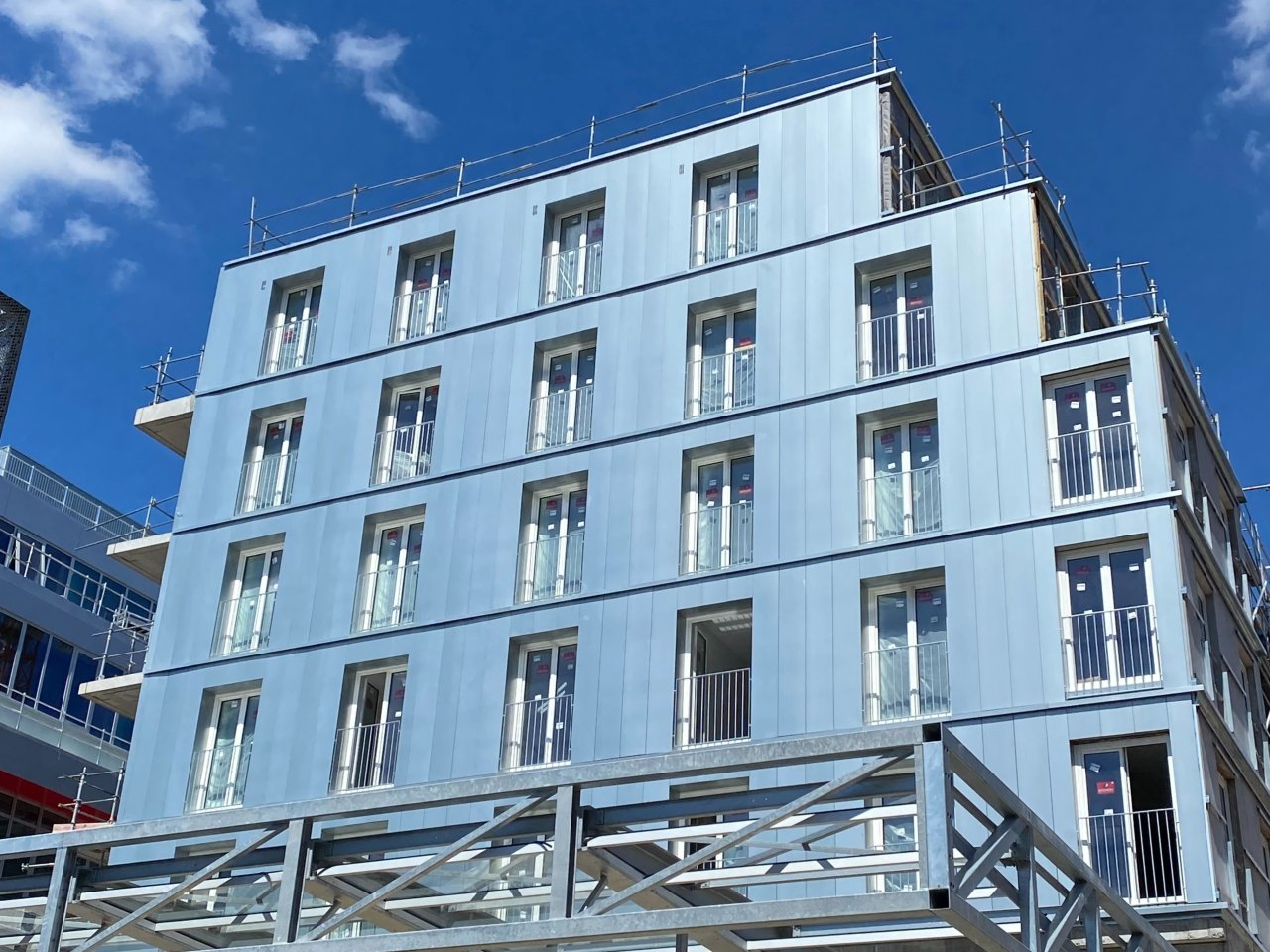 145542_logiskin-de-logelis-2.jpg. .